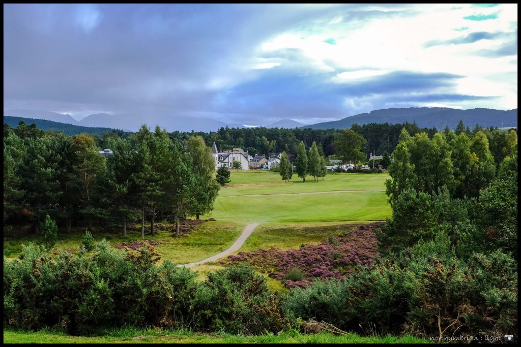 Carrbridge Golf in the Wild